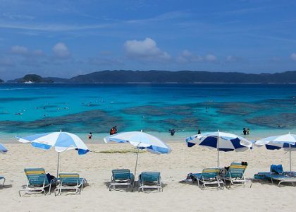 Al-Madina Dome Travel & Tourist Agency