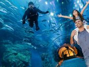 Al-Madina Dome Travel & Tourist Agency